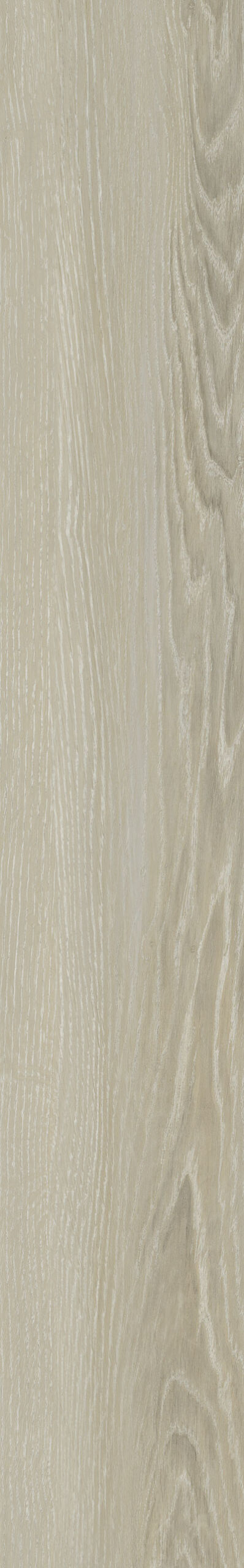 Windrush Oak