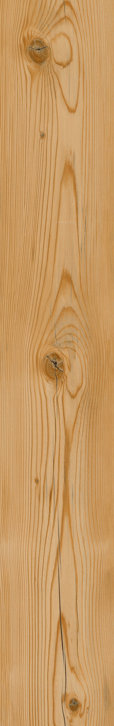 Bohemian Pine