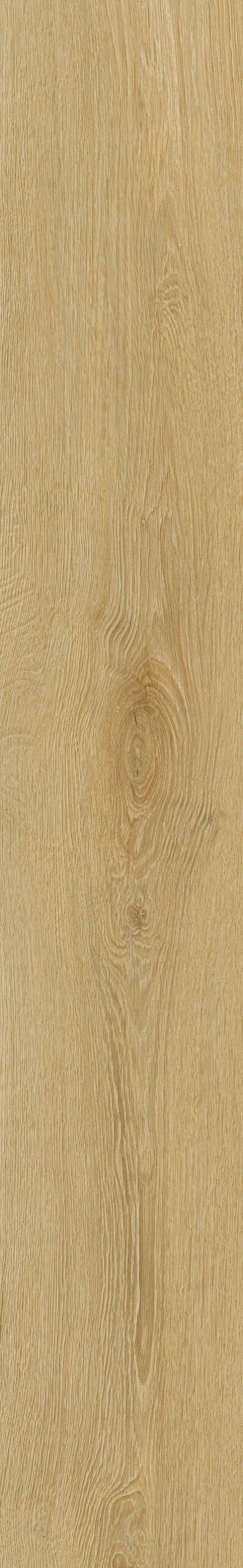 Harvest Oak