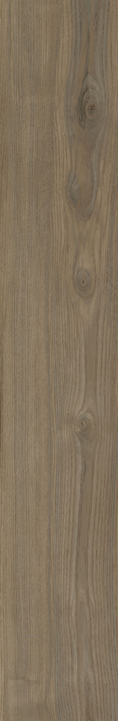 Swirl Oak