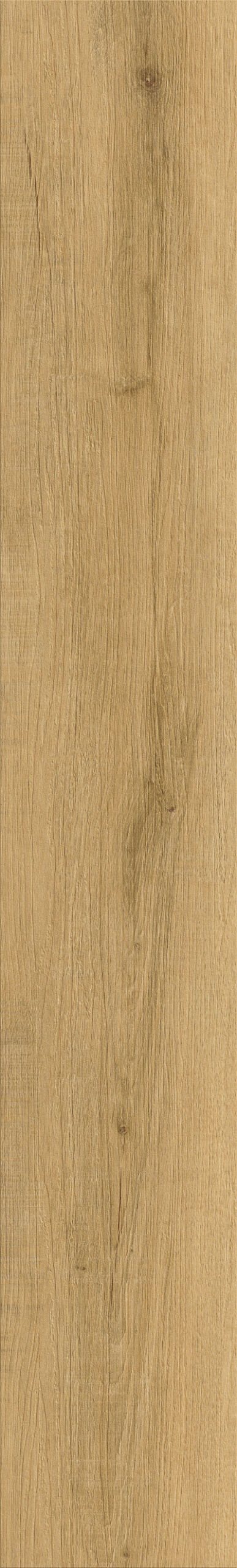 Royal Oak 4V