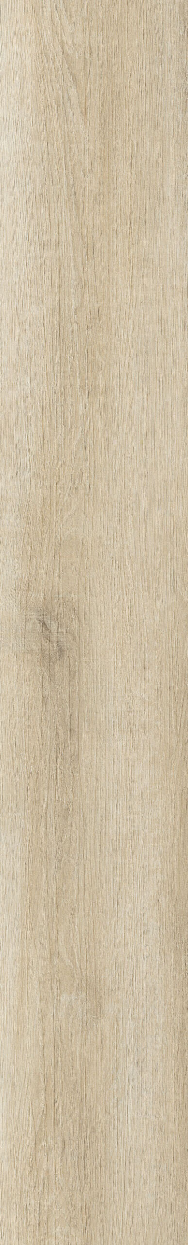 Panama Oak
