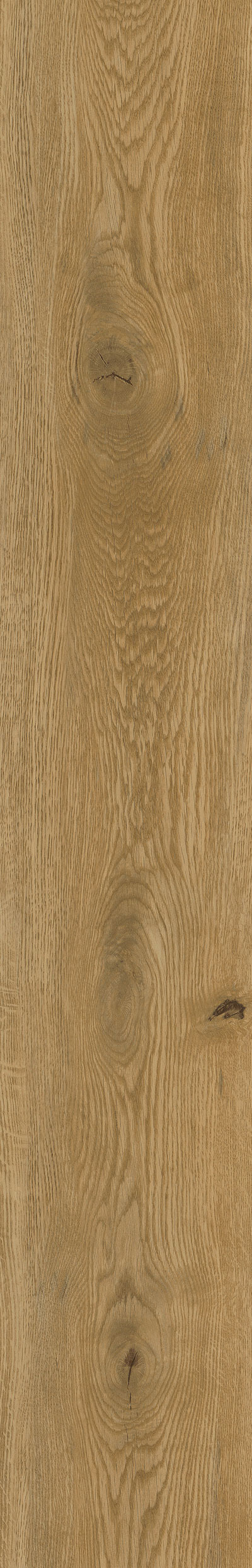 Oak Evita honey