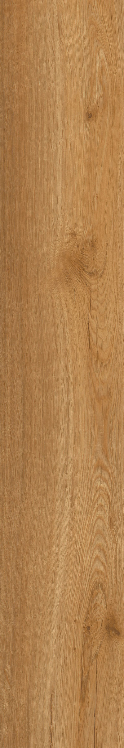 Oak Classic