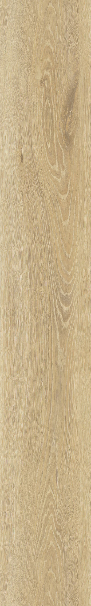 Nordic Oak