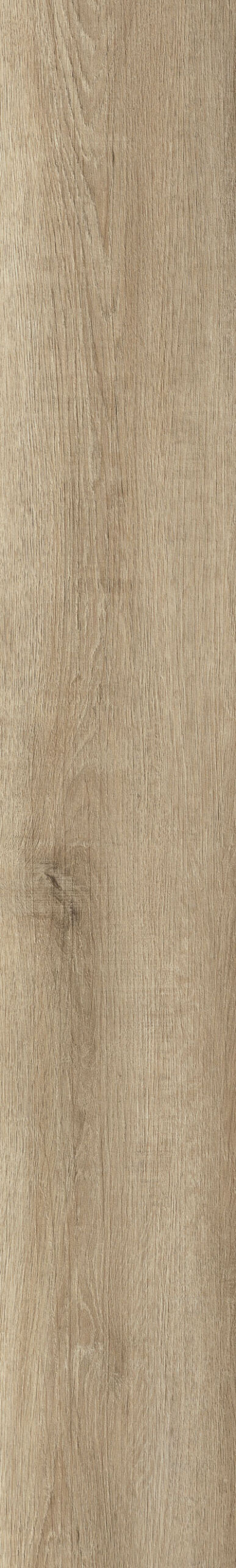 Loft Oak